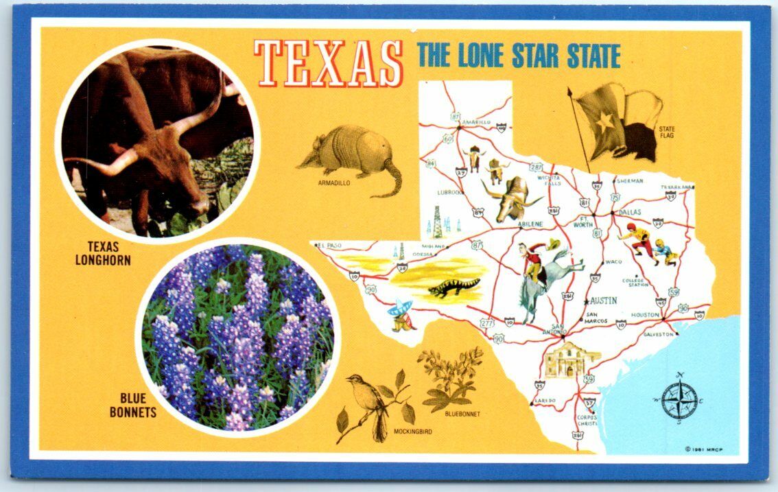 Postcard - Texas - The Lone Star State