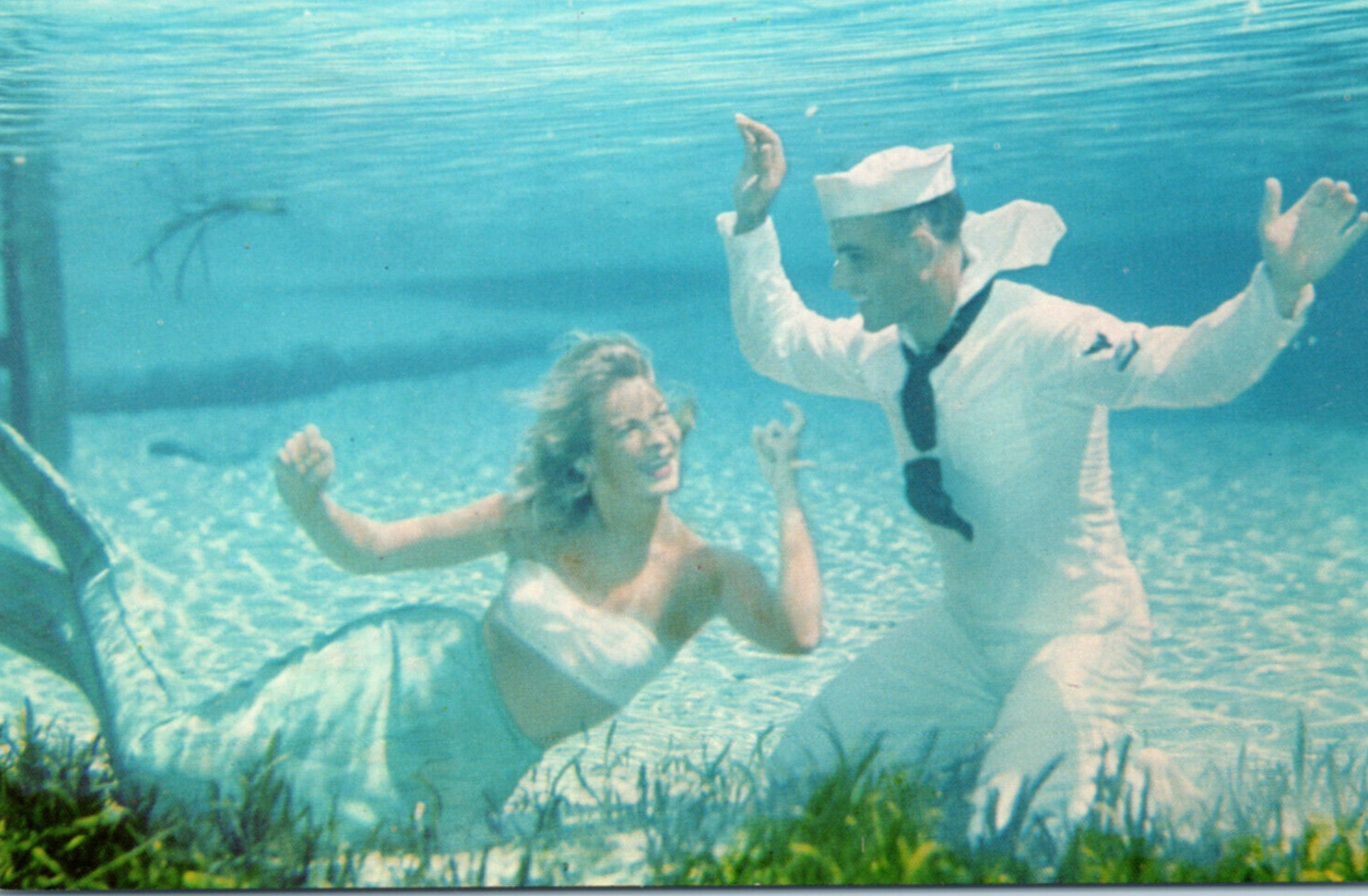 Silver Springs Florida Mermaid Navy Sailor Vintage Postcard