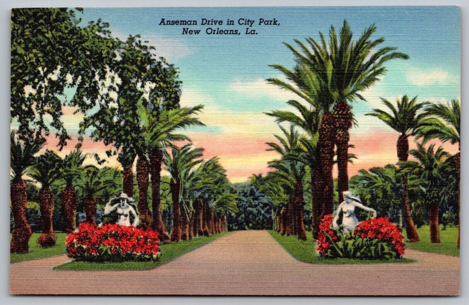 Anseman Drive City Park New Orleans Louisiana Street View Tropical Palm Postcard