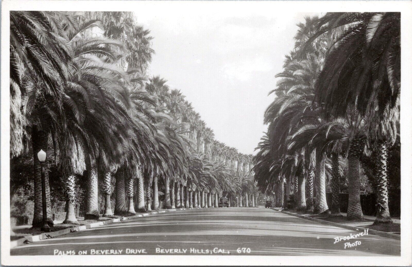 RPPC Palm Trees, Beverly Drive, Beverly Hills California- c1940s Photo Postcard