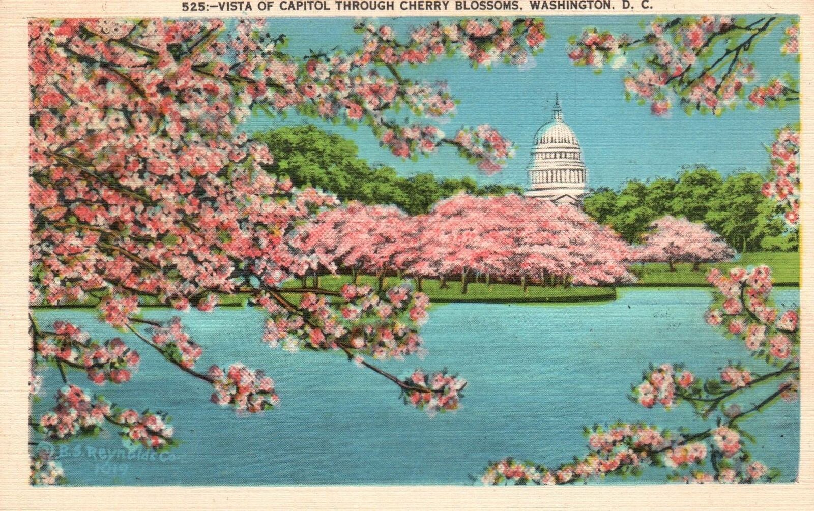 Vintage PPC - Vista of Capitol Through Cherry Blossoms, Wash, DC - F24476