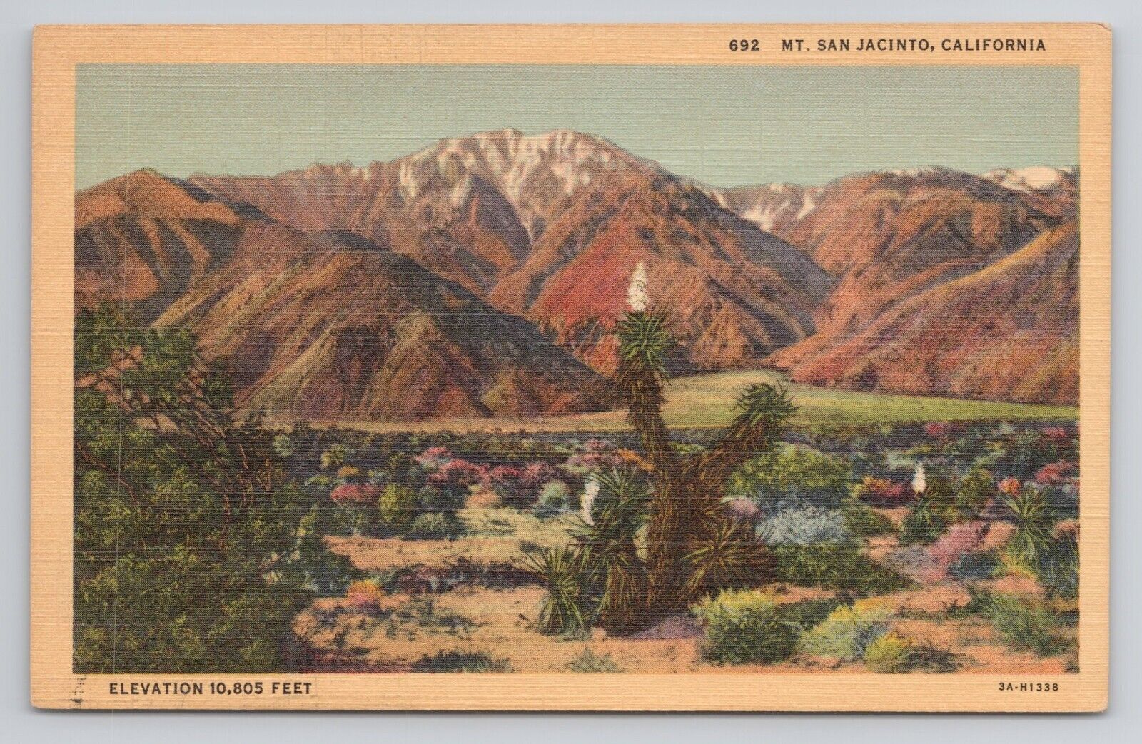 Mt San Jacinto California Linen Postcard No 4920