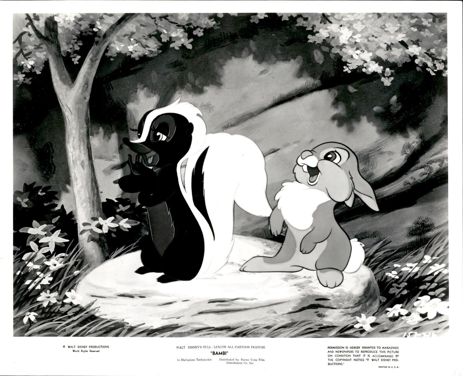 KC12 Original Photo WALT DISNEY'S BAMBI Bunny Thumper and Skunk Flower Cartoon