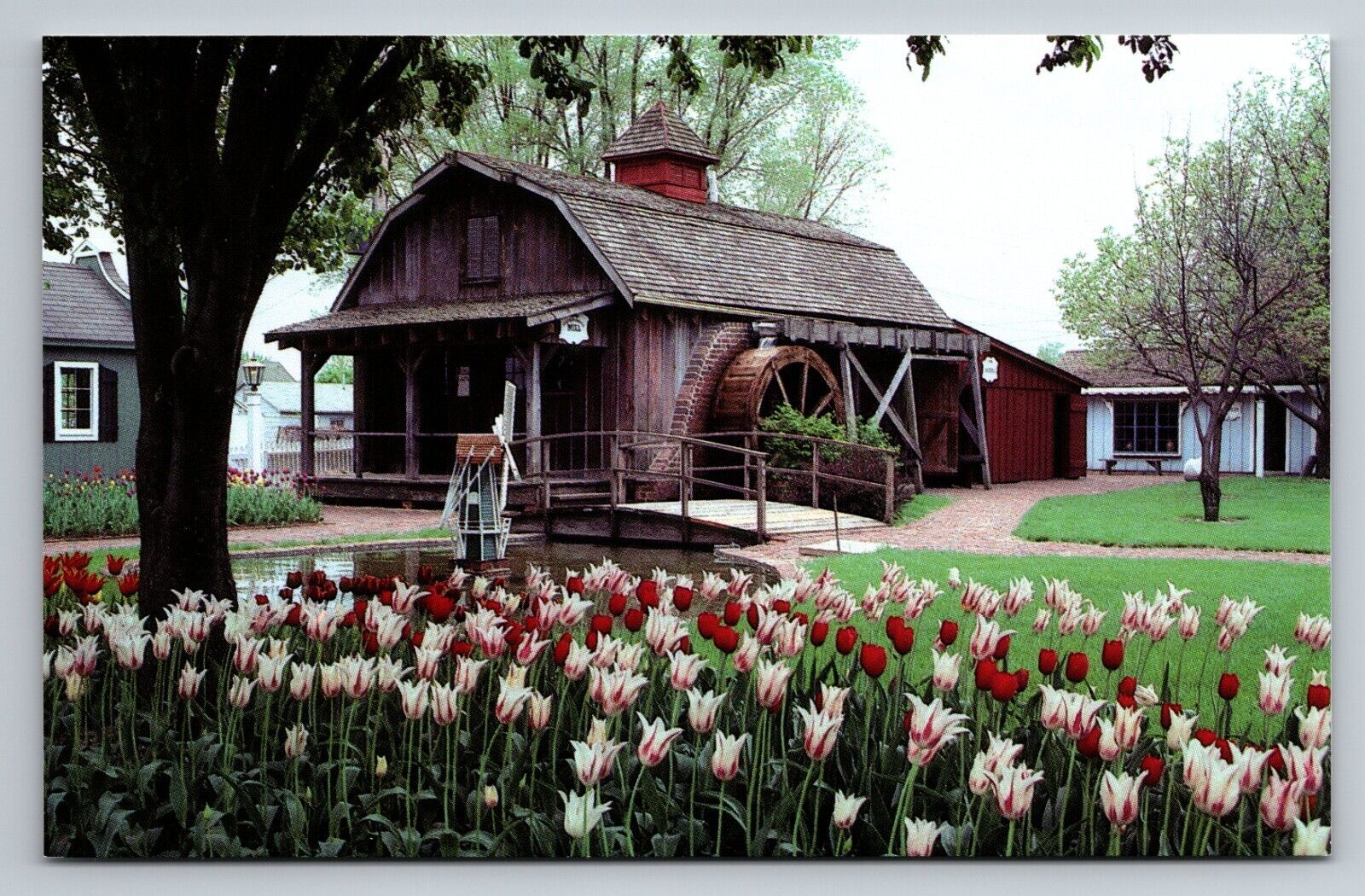 Blommers Mill Historic Pella Iowa Vintage Unposted Postcard