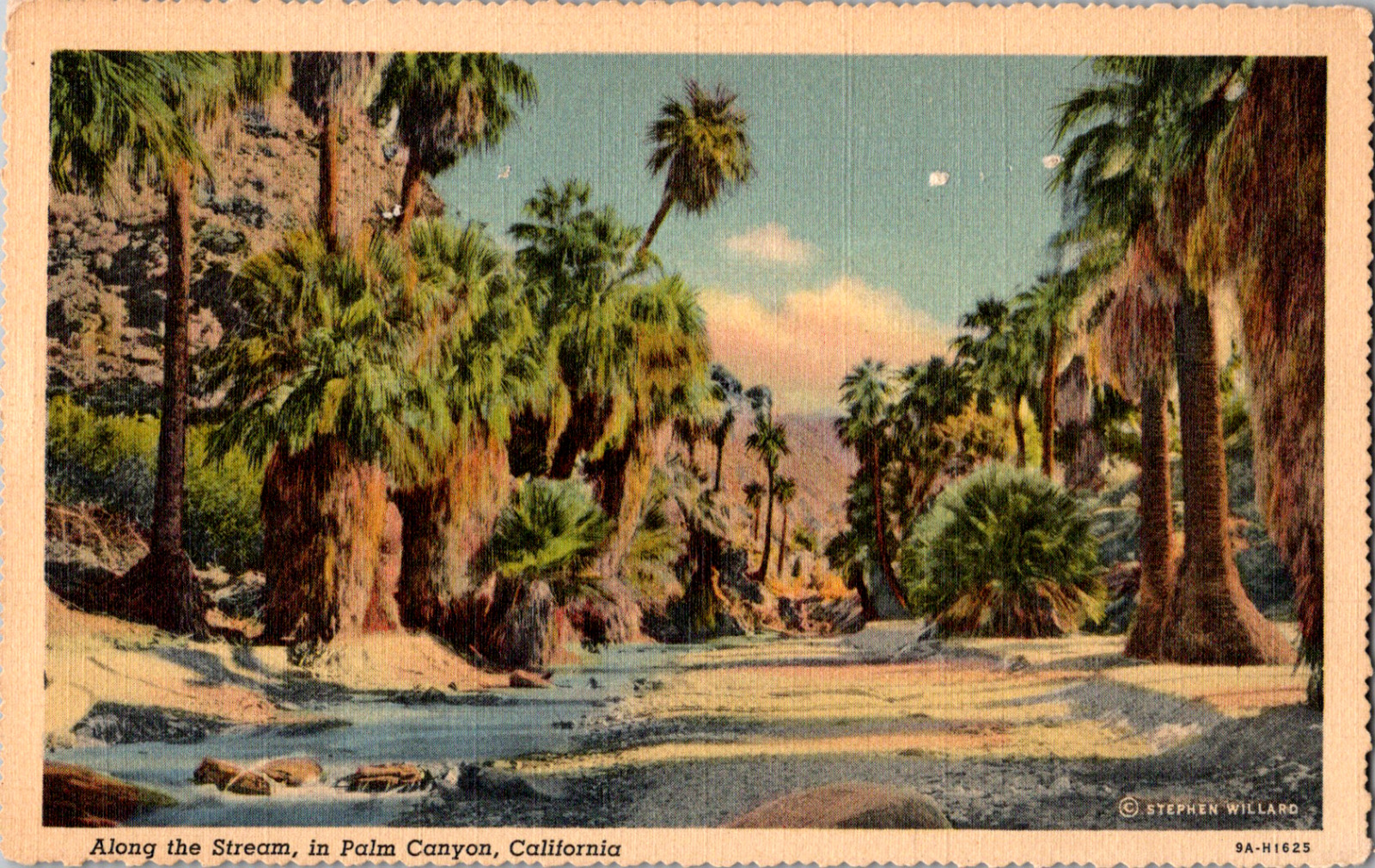 Vintage 1930\'s Tropic Scene Along Stream in Palm Canyon California CA Postcard