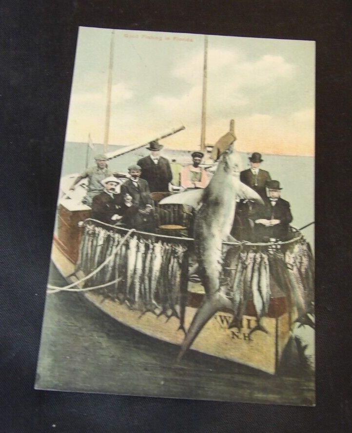 Vintage Postcard-Fishing in Florida Early 1900s