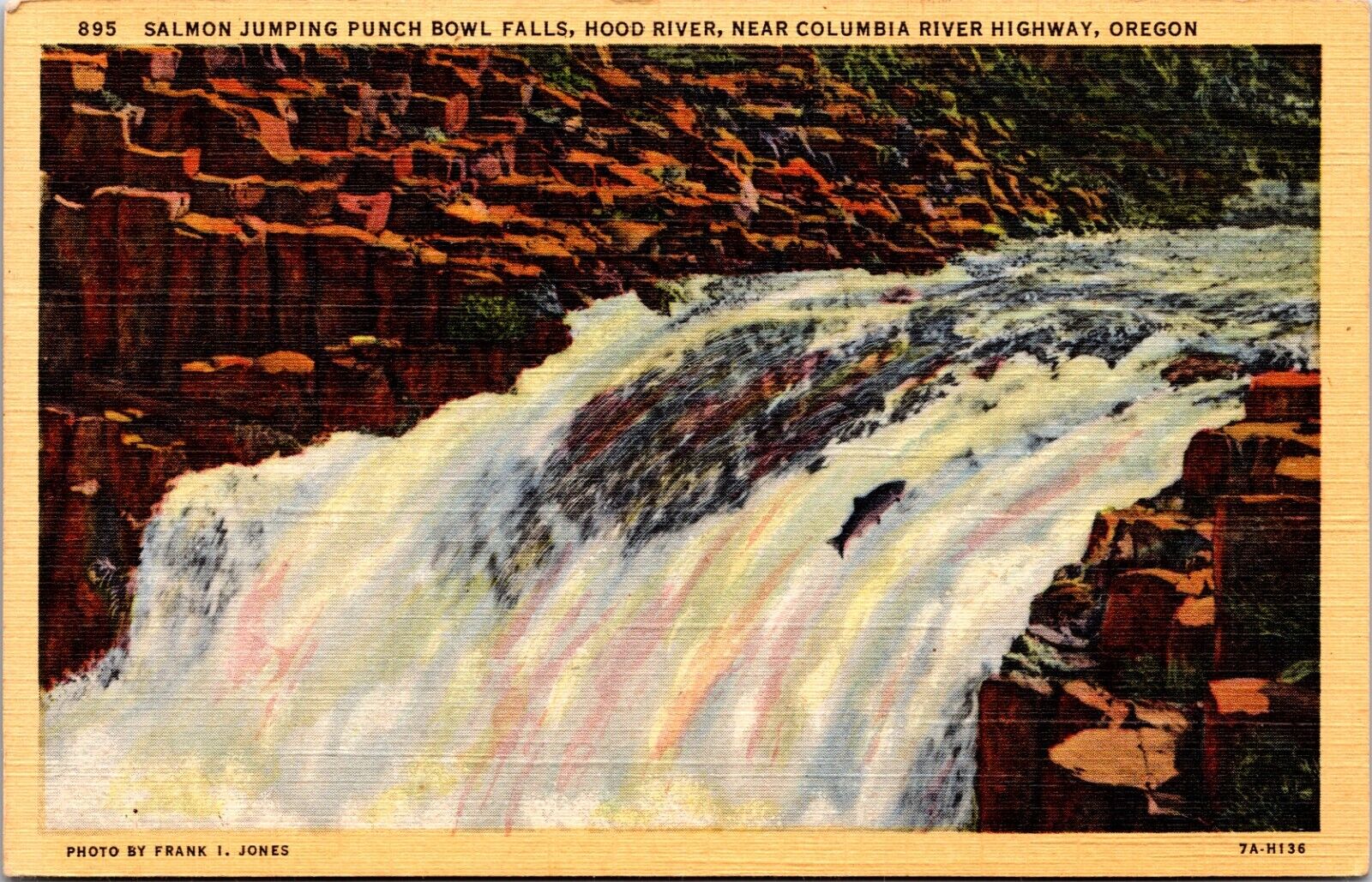 Postcard Oregon - Salmon Jumping Punch Bowl Falls, Hood River - 1937