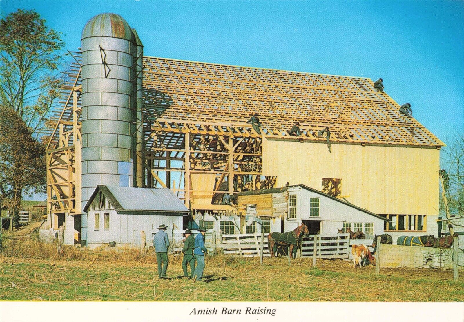 Lancaster PA Pennsylvania, Amish Country Barn Raising, Vintage Postcard