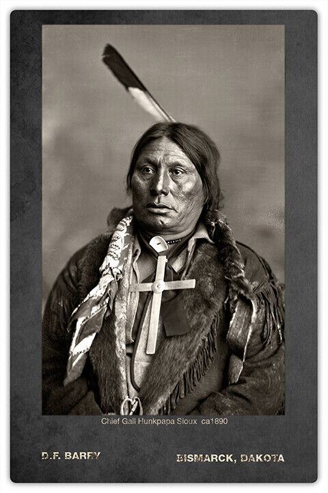 CHIEF GALL Hunkpapa Lakota ca.1880 Vintage Photograph Cabinet Card CDV RP
