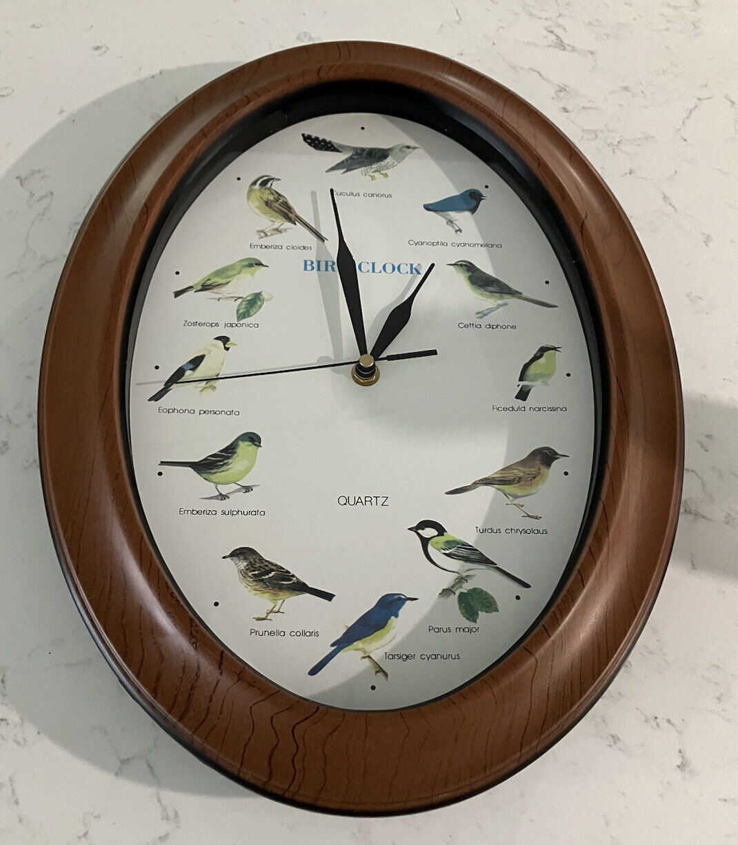 QUARTZ Brown & Black Oval Wall Clock -12 Bird Sounds Tested 16x12” Vtg