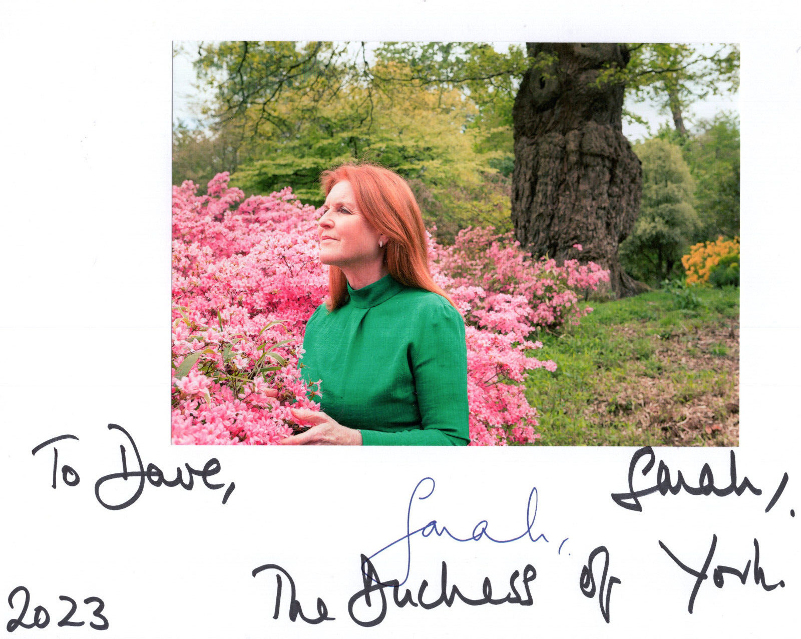 SARAH FERGUSON SIGNED 8x10 COLOR PHOTO     SIGNED DUCHESS OF YORK        TO DAVE