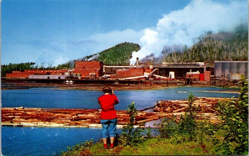 Vintage Postcard Pulp Mill Ketchikan Alaska AK                              N439