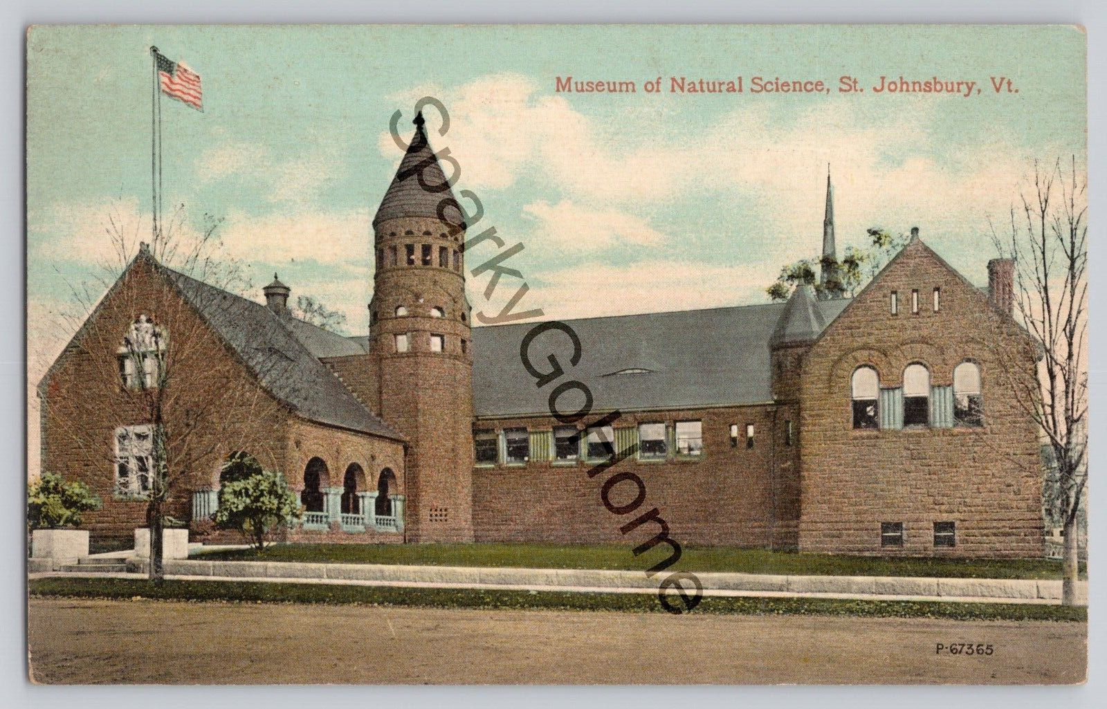 MUSEUM OF NATURAL SCIENCE, ST. JOHNSBURY VT VERMONT POSTCARD