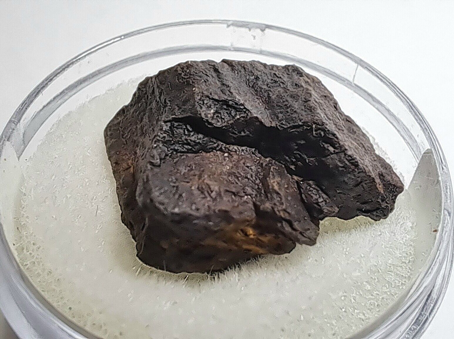 Mundrabilla OXIDE Meteorite as found in AUSTRALIA, Iron, IAB-ung +COA 5.47 grams