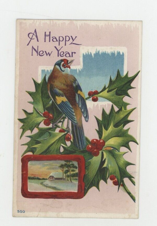 Vintage New Year  Postcard BIRD ON HOLLY BRANCH EMBOSSED POSTED 1911  STAMP