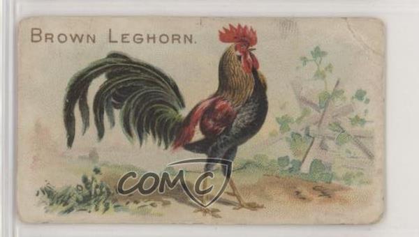 1907 Philadelphia Caramel Zoo Chickens E31 Brown Leghorn z6d