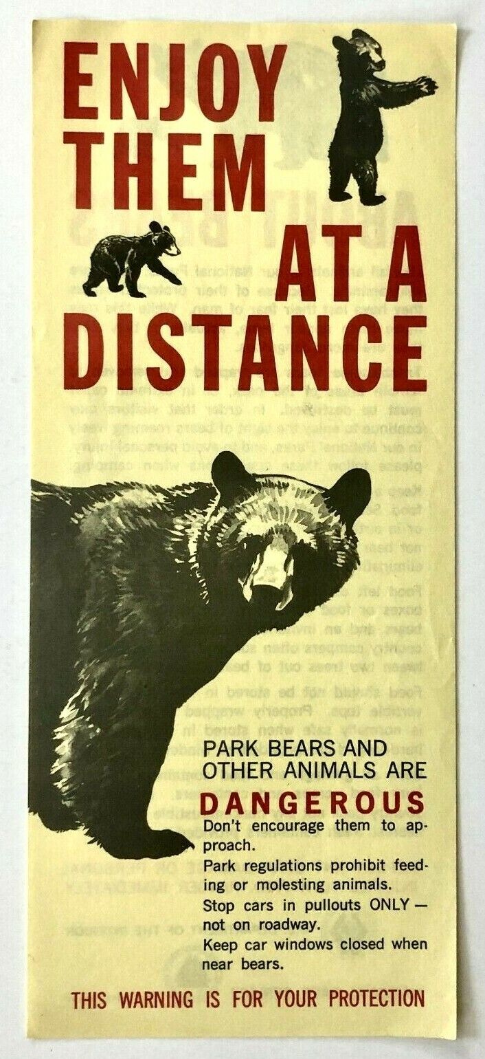 1969 National Park Service Bear Safety Dangerous Animals Flyer Wildlife Vintage