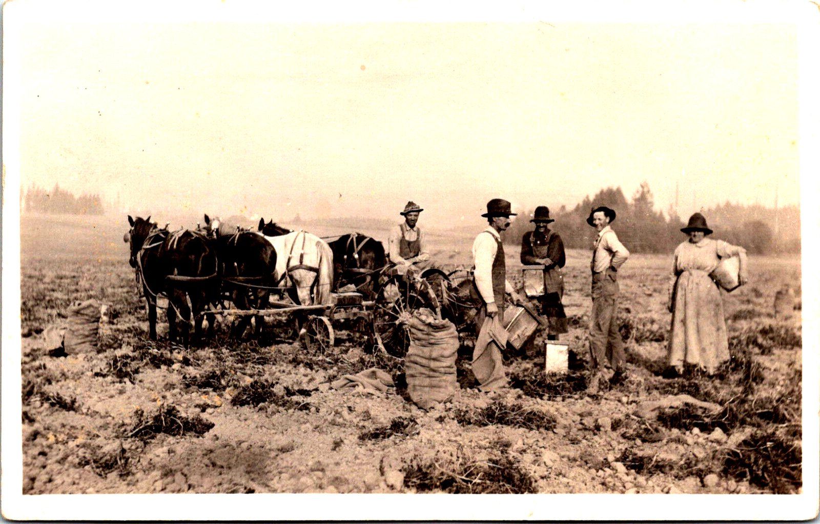 Antique Real Photo RPPC Postcard Family Farm Horses Men Woman