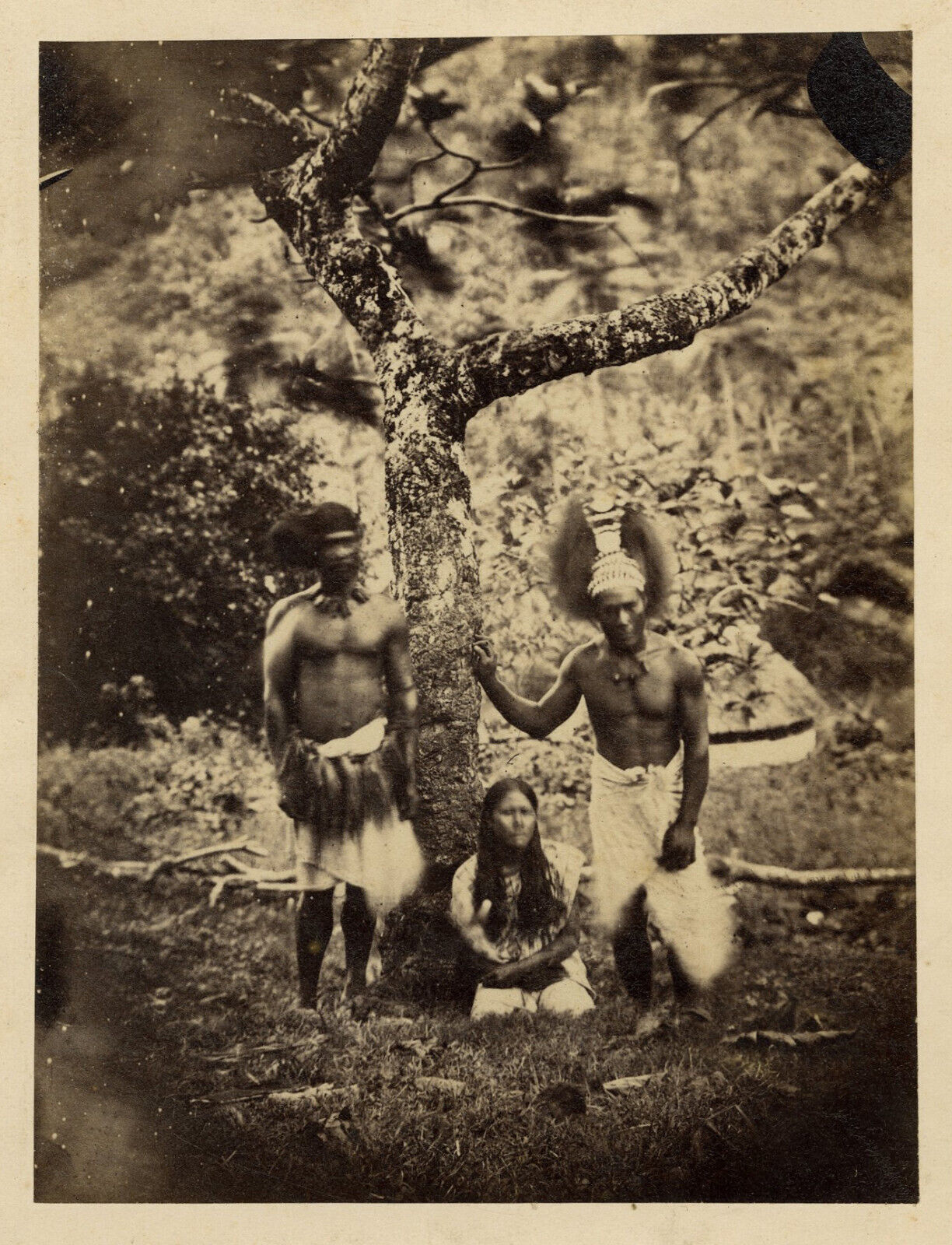 Samoan Chefs of Tutuila Island (Samoa). Approx. 1880. Tutuila Island (Samoa)