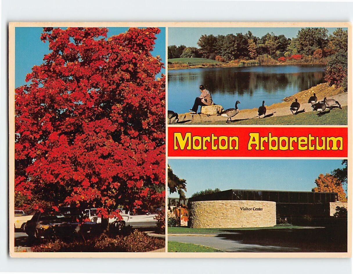 Postcard Morton Arboretum Woodland Park Museum Lisle Illinois USA North America