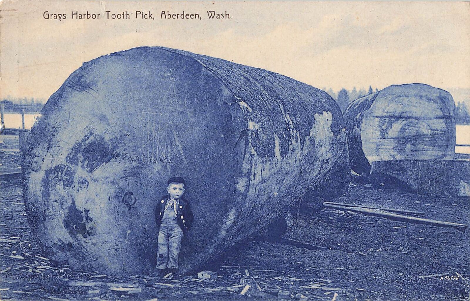 Vintage Postcard Grays Harbor Tooth Pick, Aberdeen Wash, Kid with Wood Logs 1903