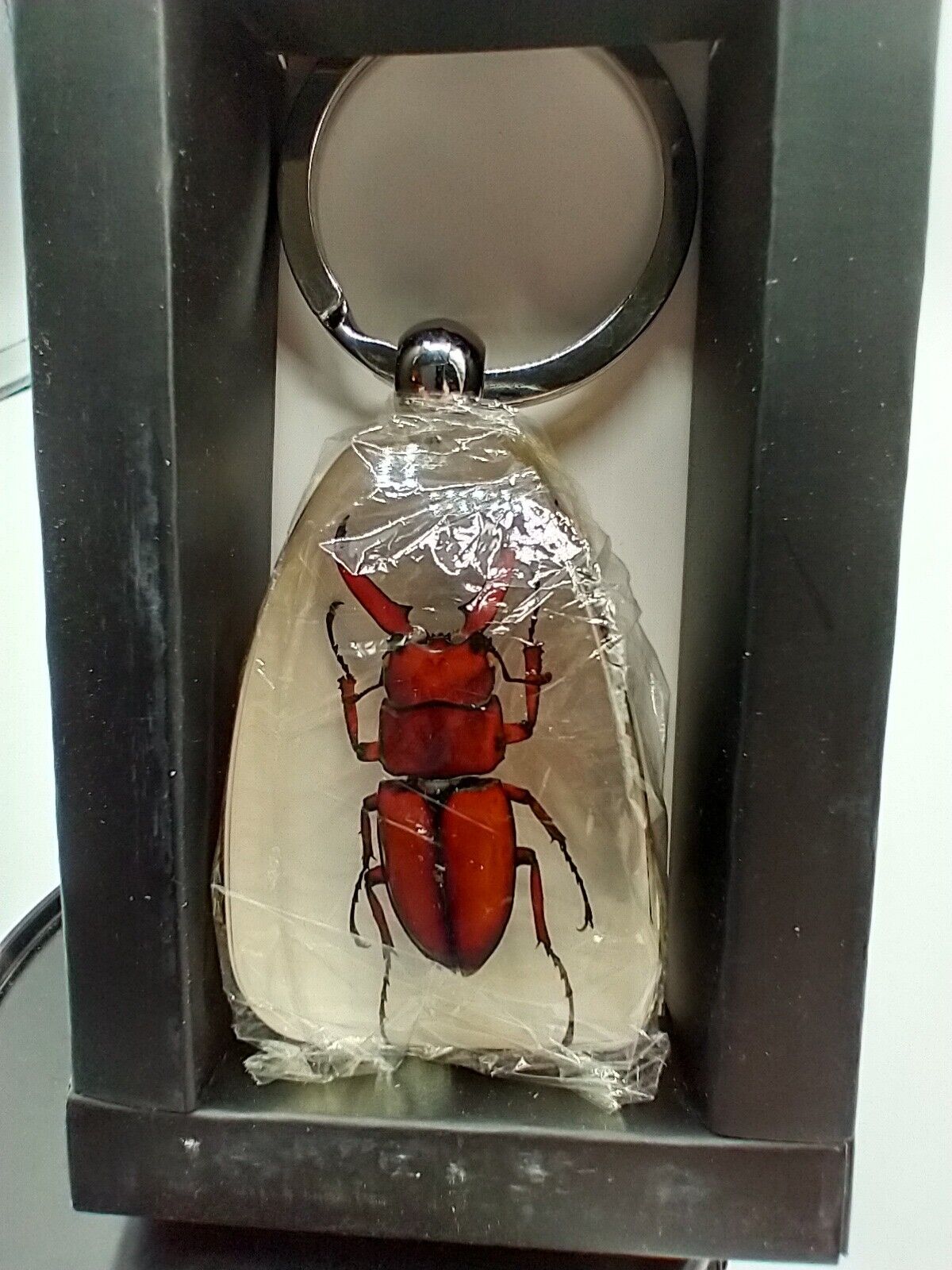 Real Insect Keychain, Millennium Arts M-Bug Brown Stag Beetle