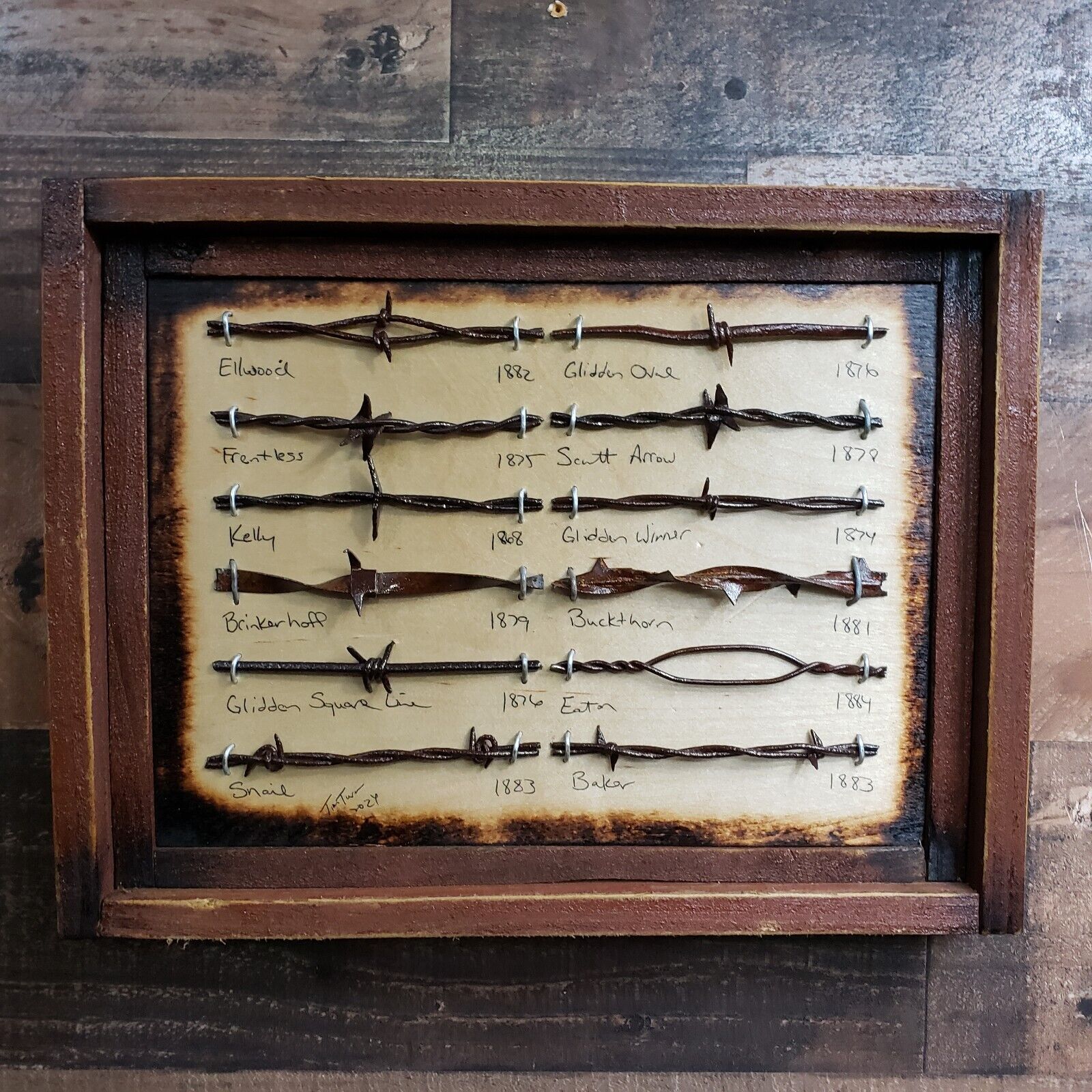Antique Barbed Wire Display Authentic Barbwire Collection
