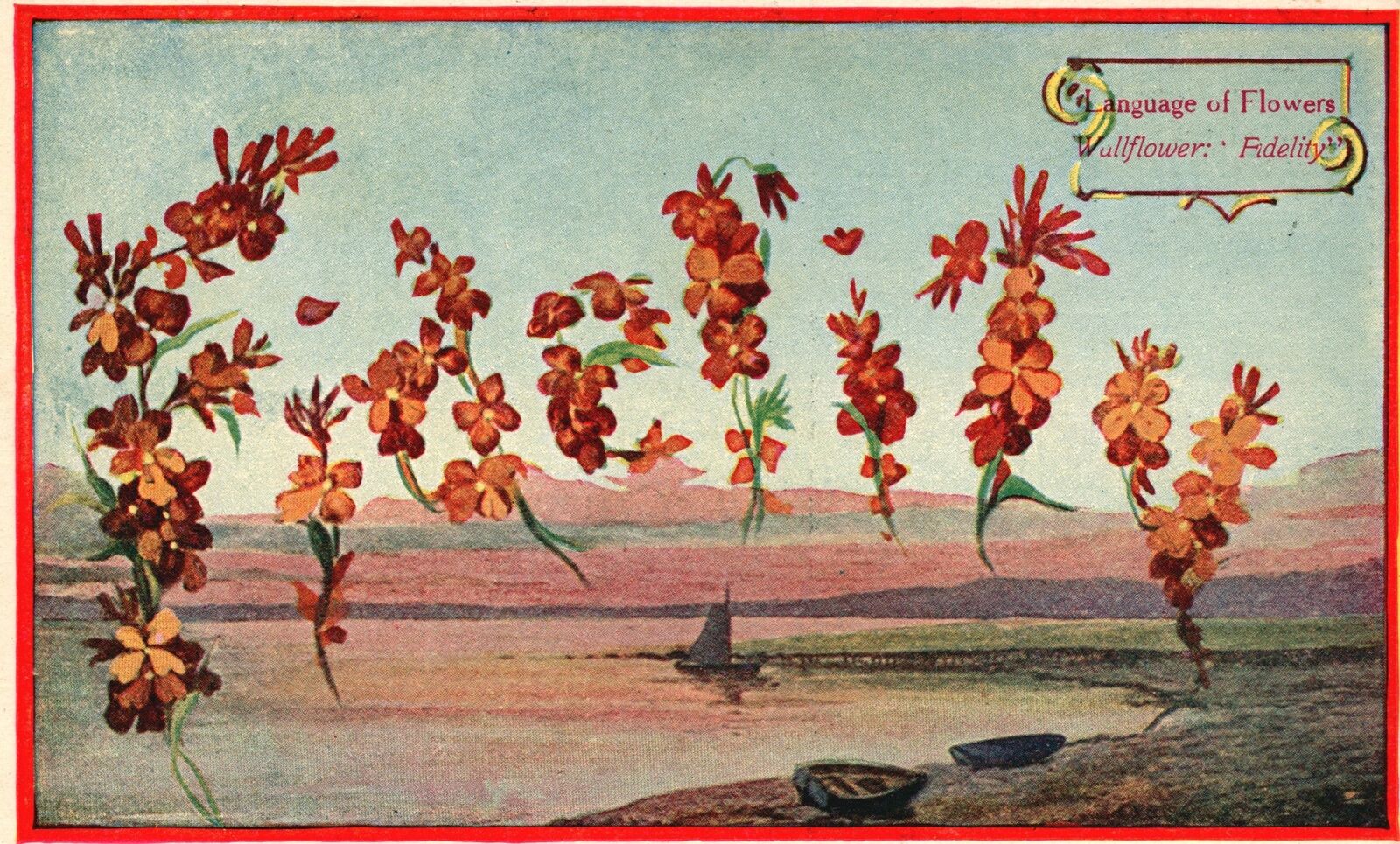 Vintage Postcard Language Of Flowers Wullflower Fidelity Souvenir Card
