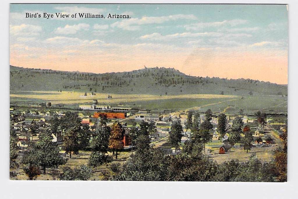 PPC Postcard AZ Arizona Bird's Eye View Williams Nice Old Antique Card