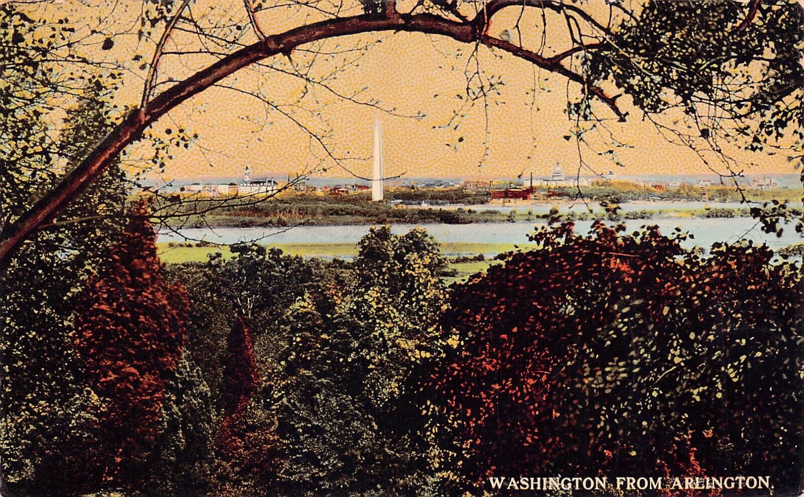 Washington DC Skyline Monument White House Early 1900s Vtg Postcard D3