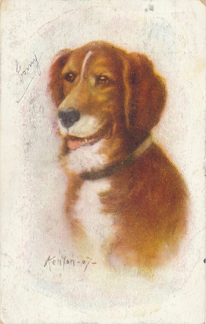 Kenyon Signed Dog Postcard - 1908