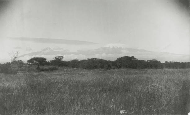 Mount Kilimanjaro - from the north east Tanzania 1905 OLD PHOTO