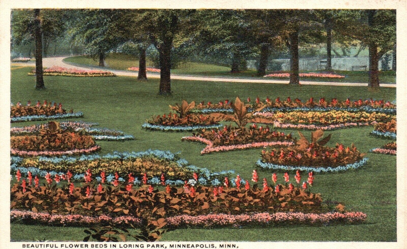 Postcard MN Minneapolis Minnesota Loring Park Flower Beds Vintage PC a8218