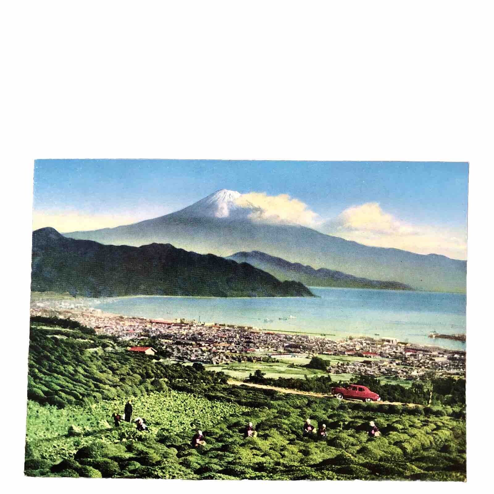 Postcard Japan c.1950s The Tea-field At Nippon Daira Japan