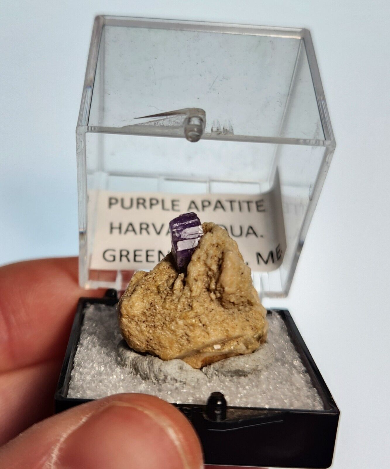 Rare Historic Purple Apatite Crystal on Matrix - Harvard Quarry, ME c. 1958
