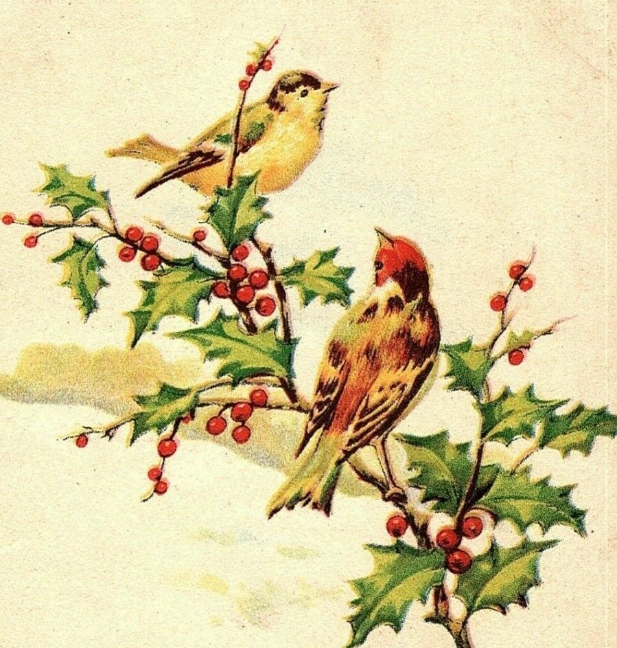 1907- 15 A Merry Christmas Postcard Song Birds Holly Berries Poem 