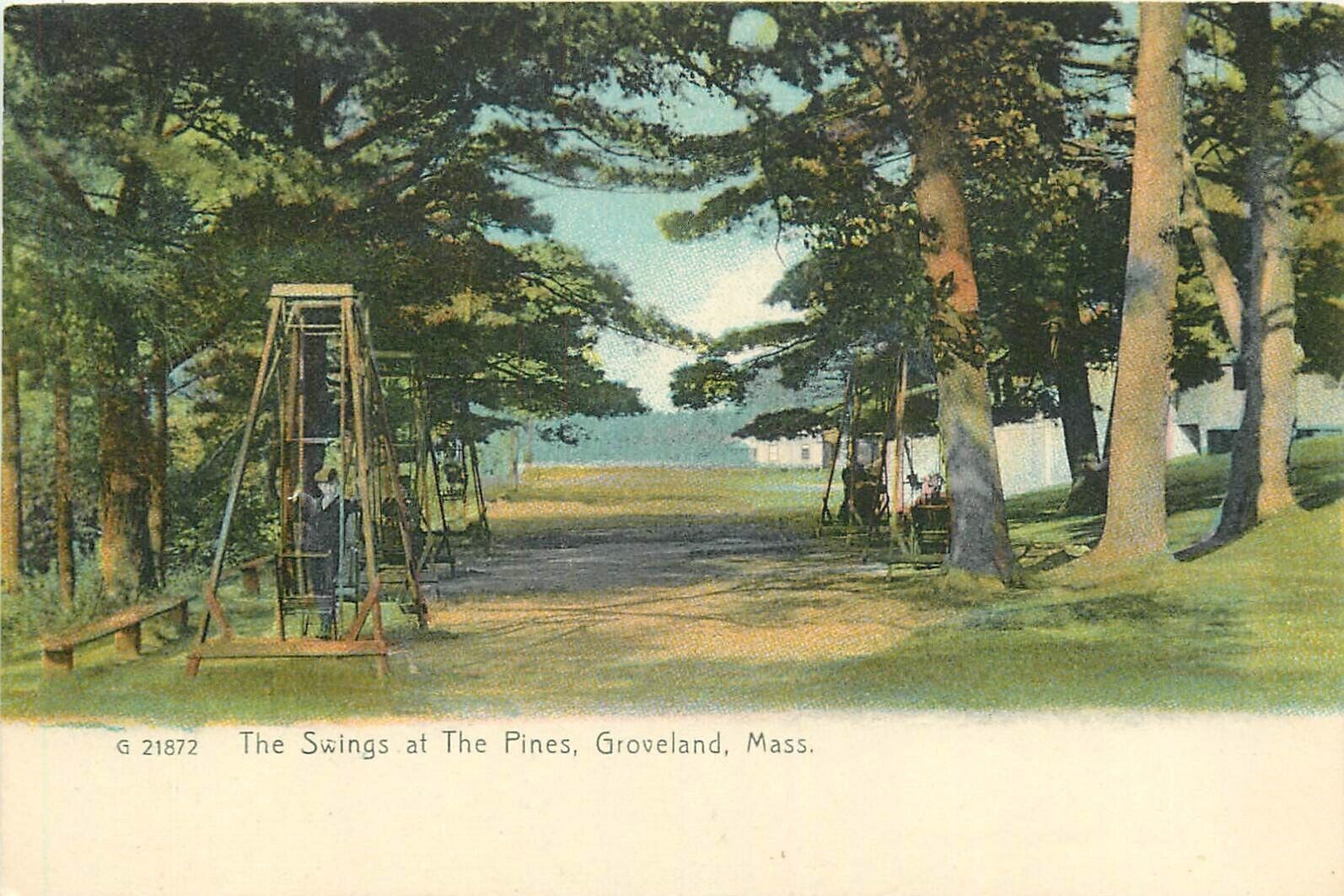 Postcard C-1905 Massachusetts Groveland Swings at Pines Rotograph