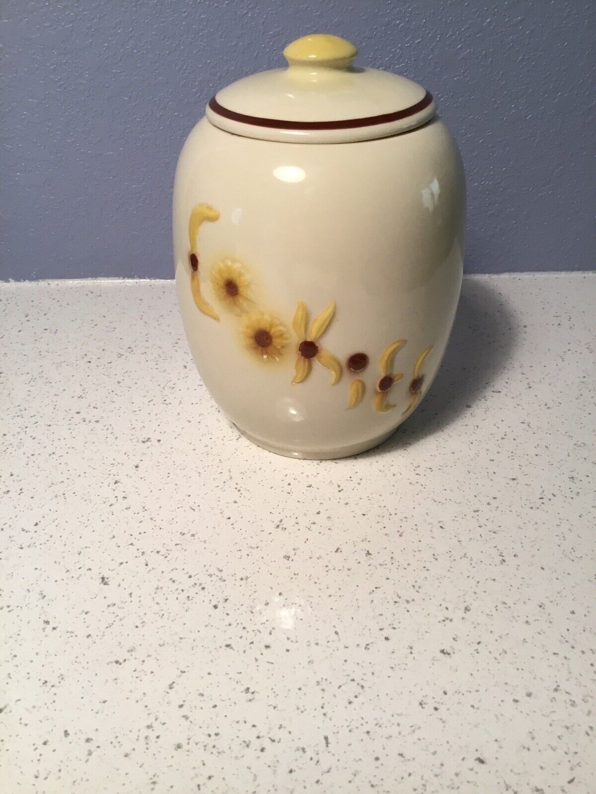 Hull Pottery Daisy Floral Cookie Jar with Lid No. 48 Vintage USA 50s
