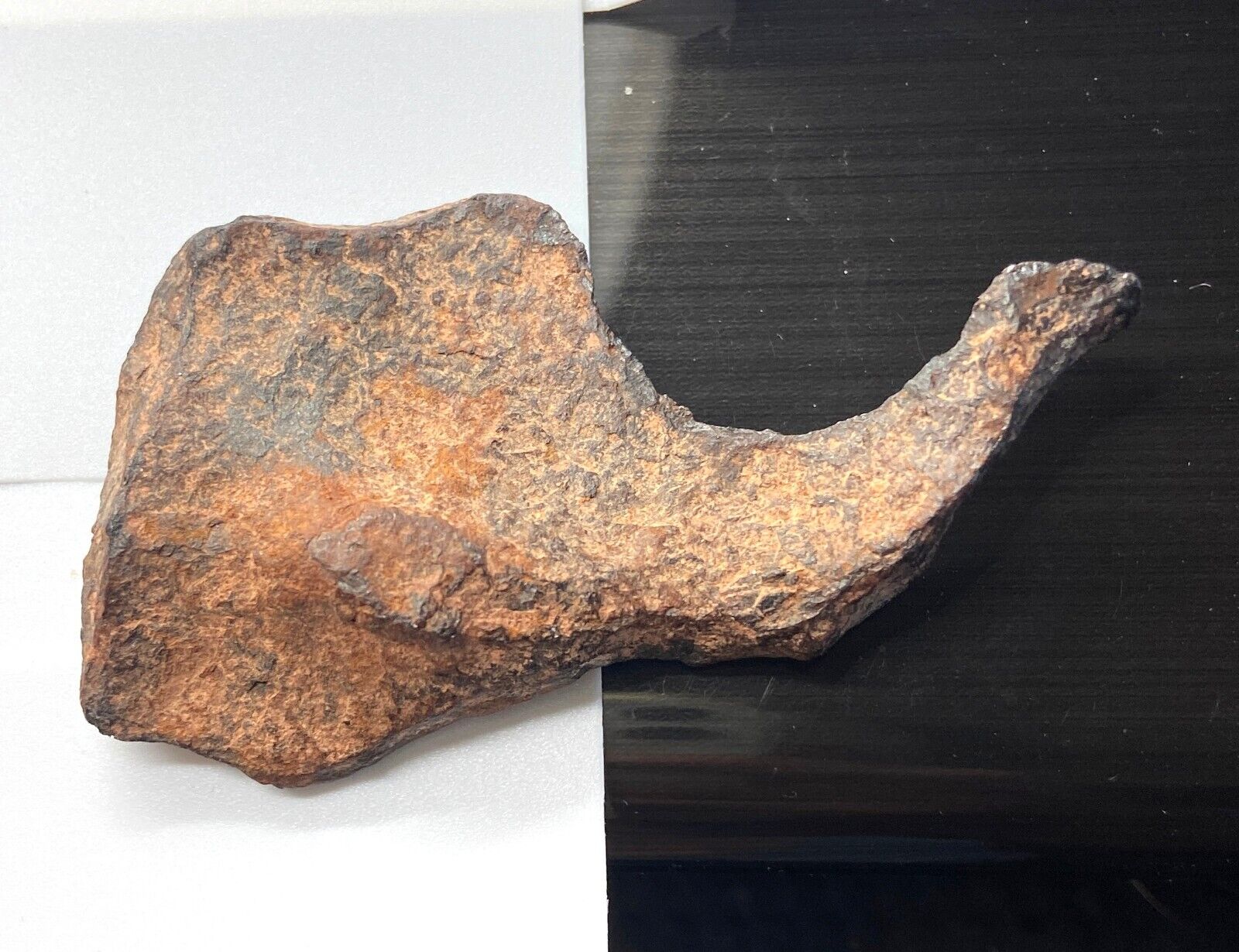23 gram Canyon Diablo iron meteorite - shard shape - natural ex Reed - Arizona