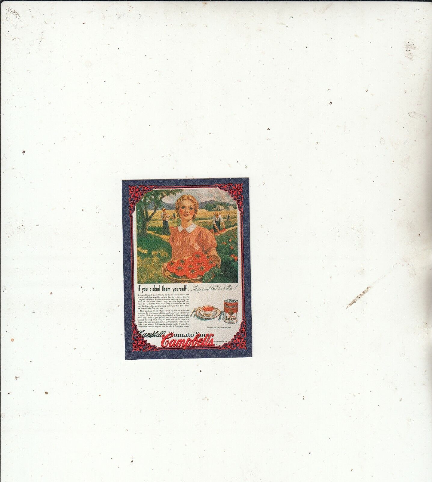 Rare-Campbell\'s-1995 Campbell Soup Company Trading Cards-{No 17]-L6128-Card