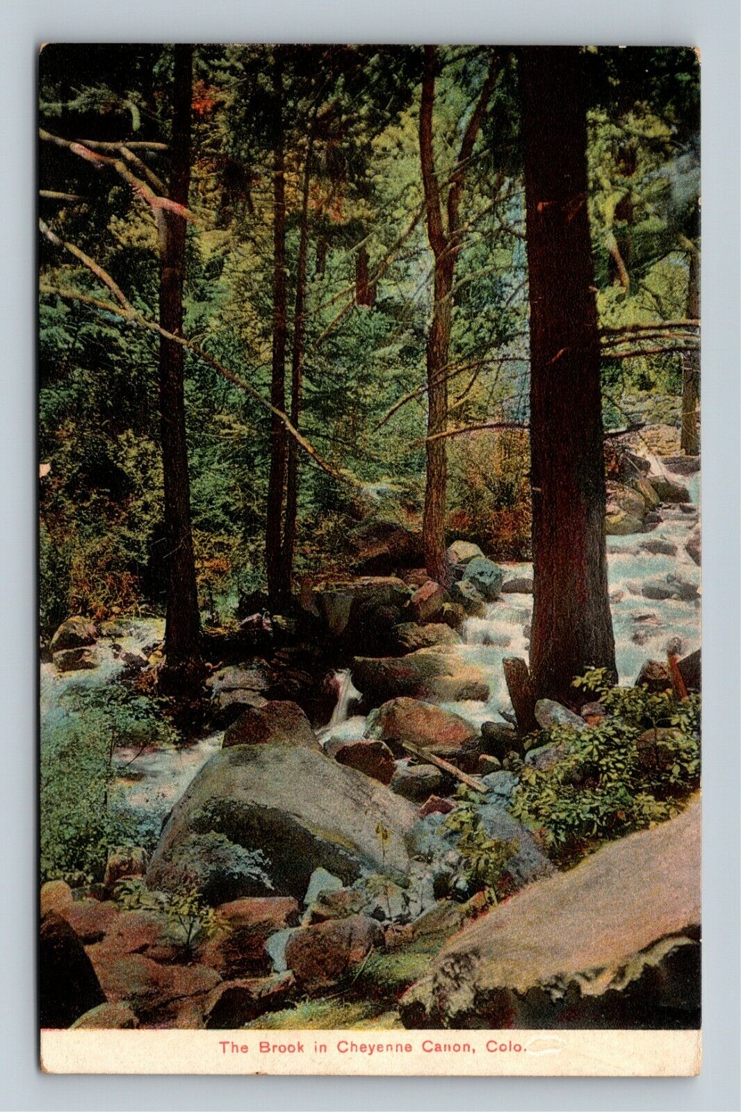 Cheyenne Canon CO, The Brook, Colorado c1909 Vintage Postcard
