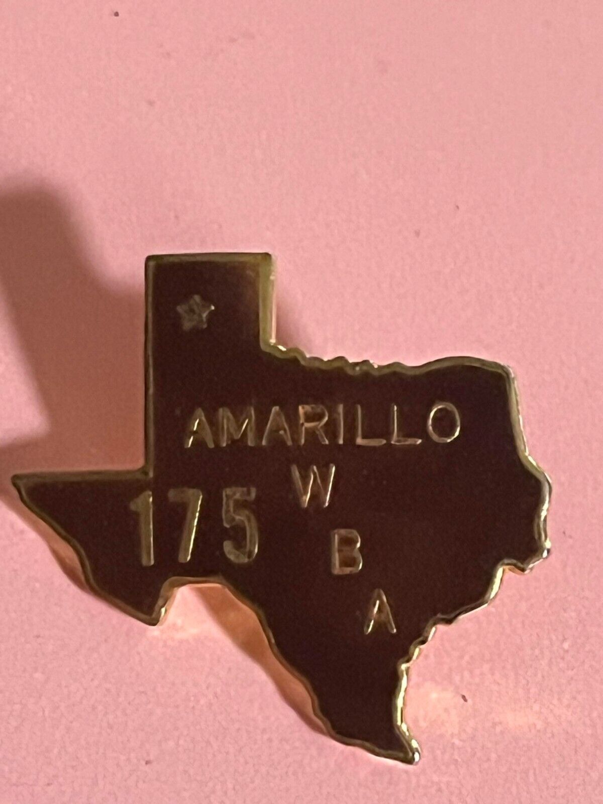 Vintage Lapel Pin #41 Texas