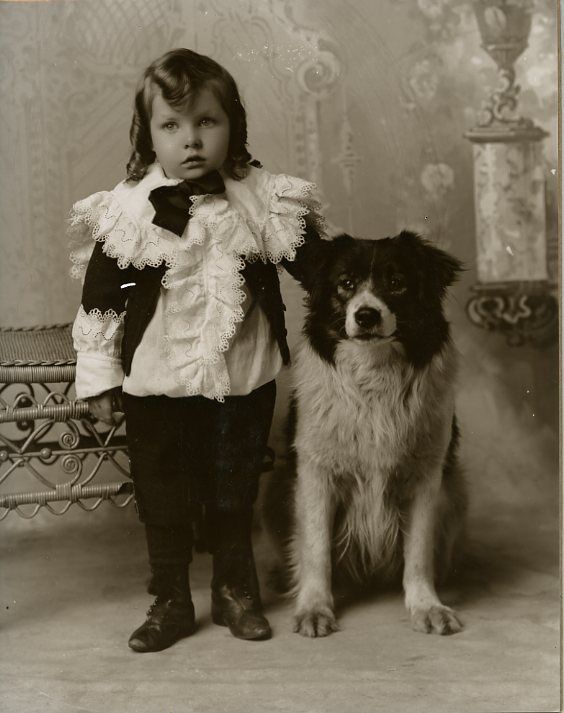 Vintage Border Collie Victorian Boy In Ruffles And Curls Collie Dog 1890 GREAT