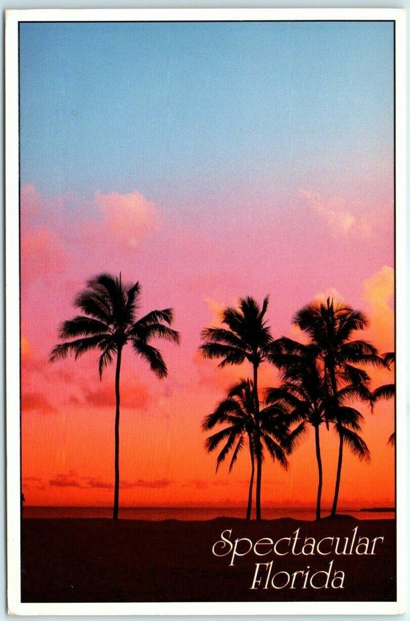 Postcard - Spectacular Florida