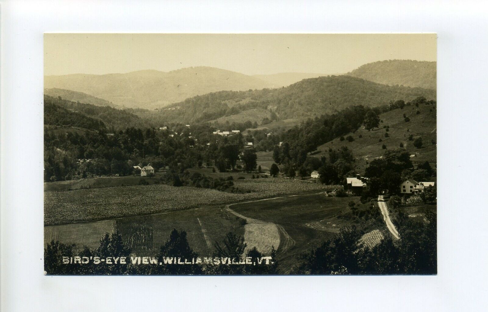 Williamsville VT RPPC photo postcard, fields, crops, street, homes, outbuildings