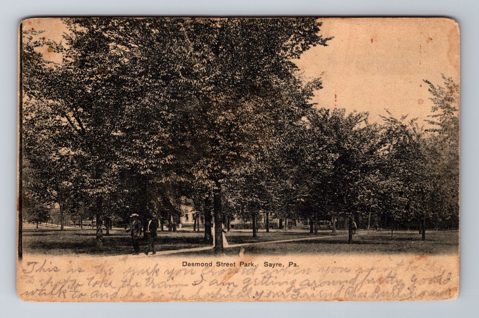 Sayre PA-Pennsylvania, Desmond Street Park, Vintage c1907 Souvenir Postcard