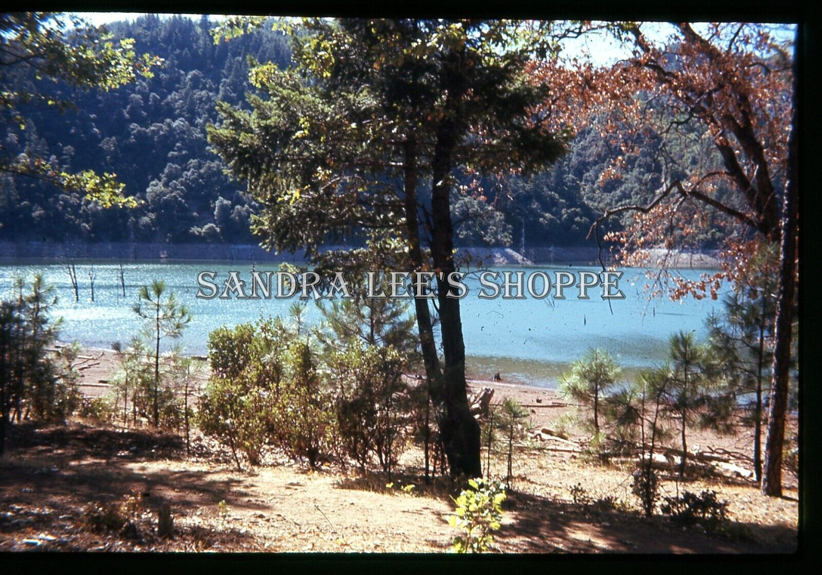 1960s Slide Donner Lake Camping Area Trees Campsites #4351