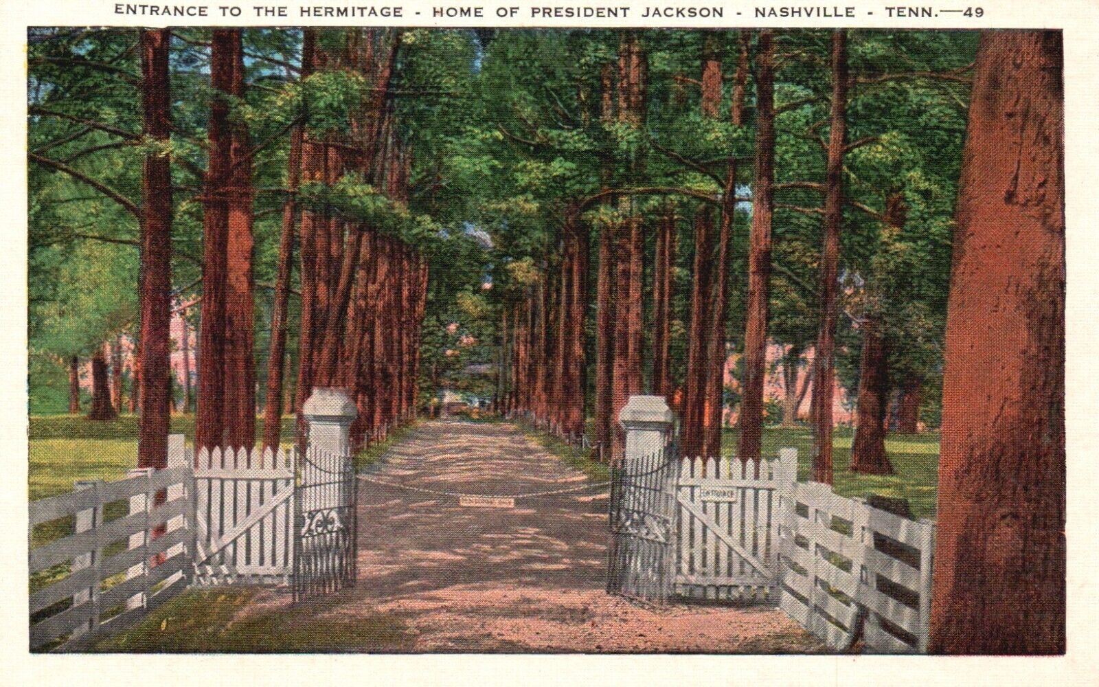 Postcard TN Nashville Entrance to the Hermitage Jacksons Home Vintage PC b8347