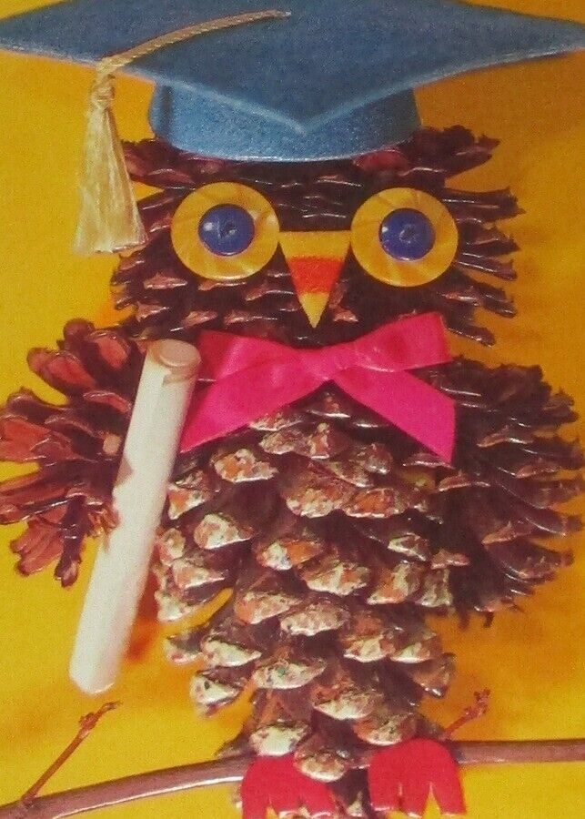 UNUSED vintage Graduation card, pine cone owl, 7\