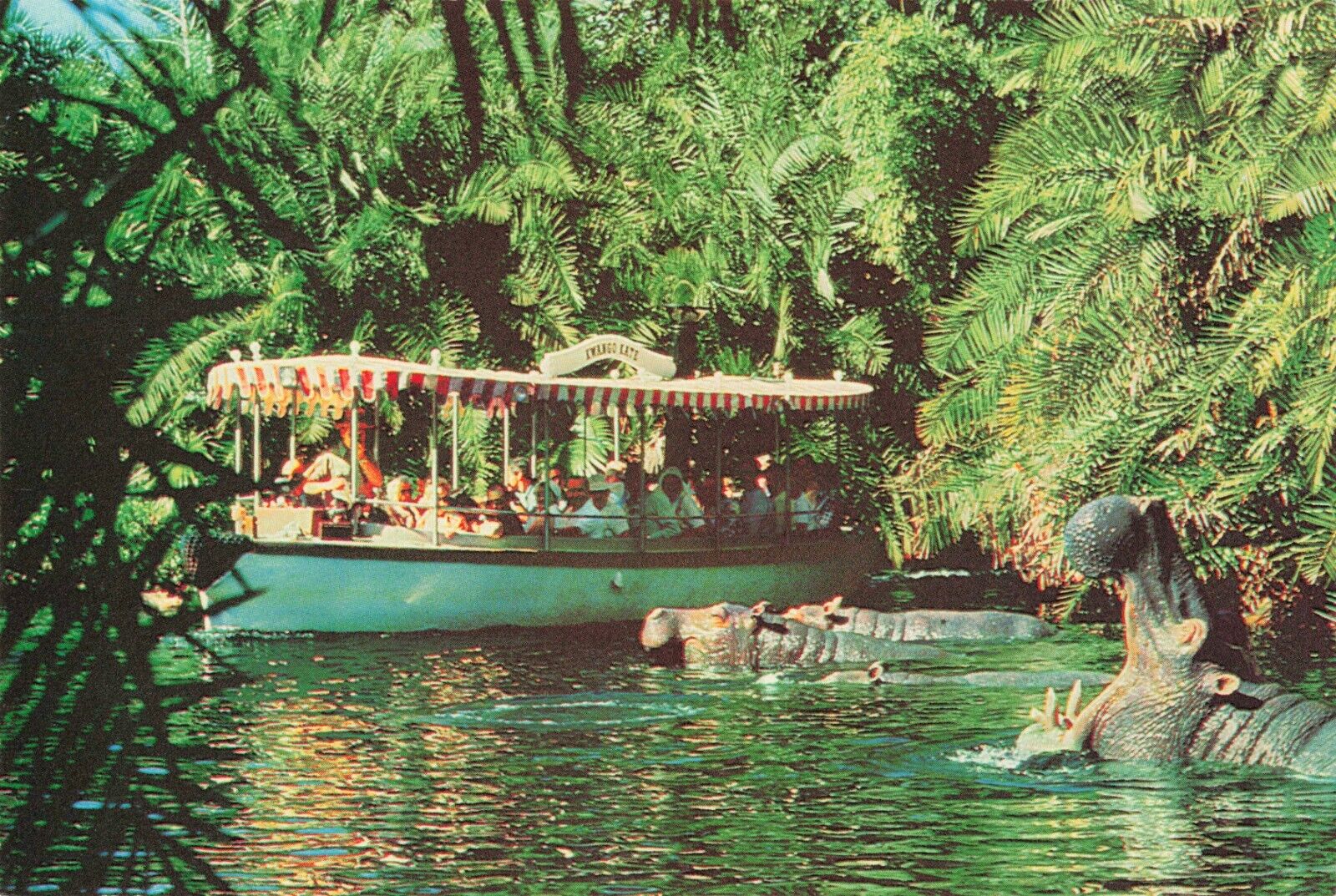Jungle Cruise Adventureland Disney World Orlando Florida Continental c1980 PC